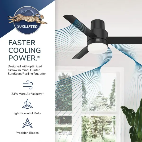 The Ceiling Fans by Hunter - Image 46
