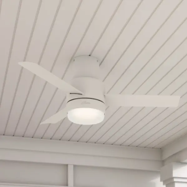 The Ceiling Fans by Hunter - Image 10