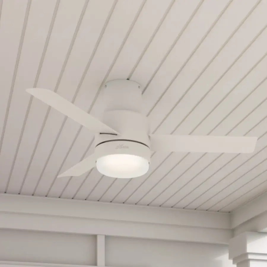 The Ceiling Fans by Hunter - Image 10