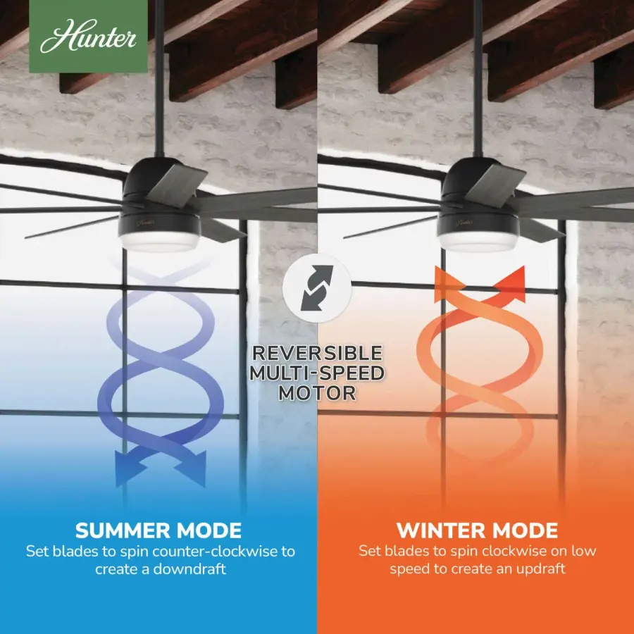 The Ceiling Fans by Hunter - Image 12