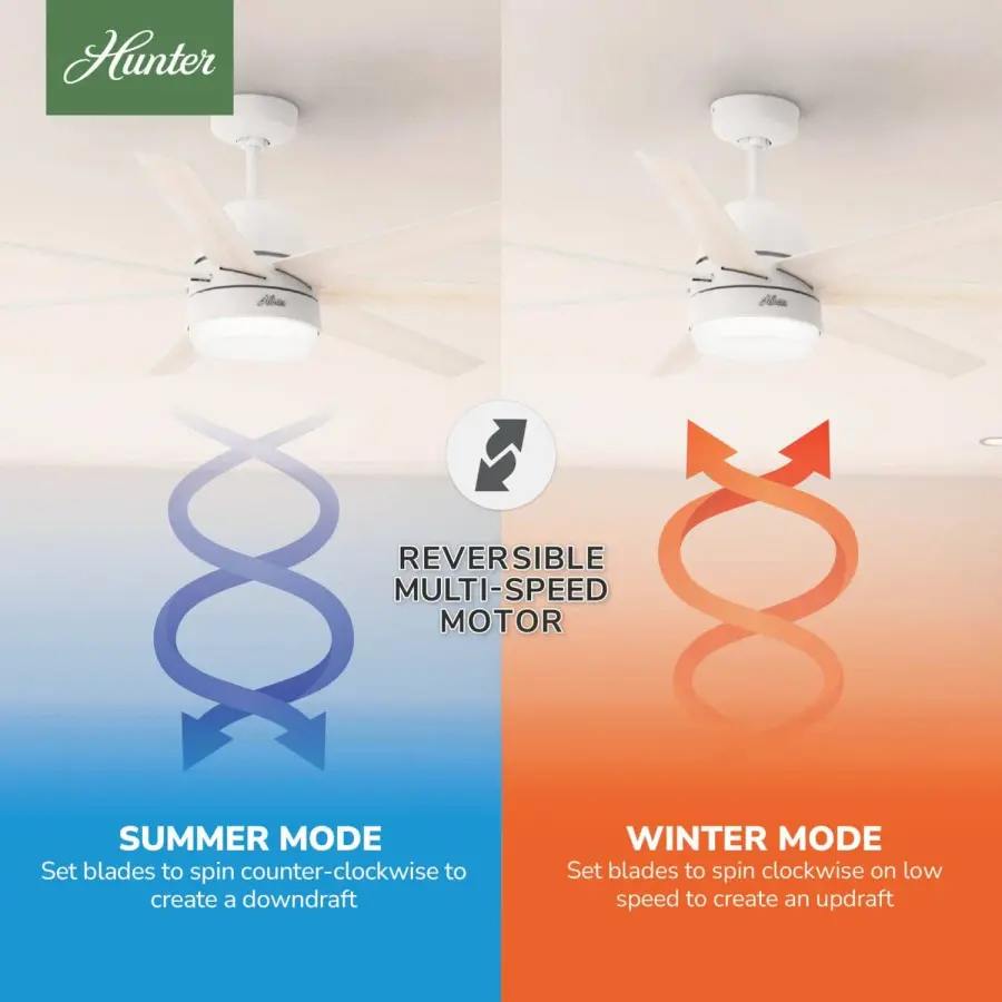 The Ceiling Fans by Hunter - Image 13