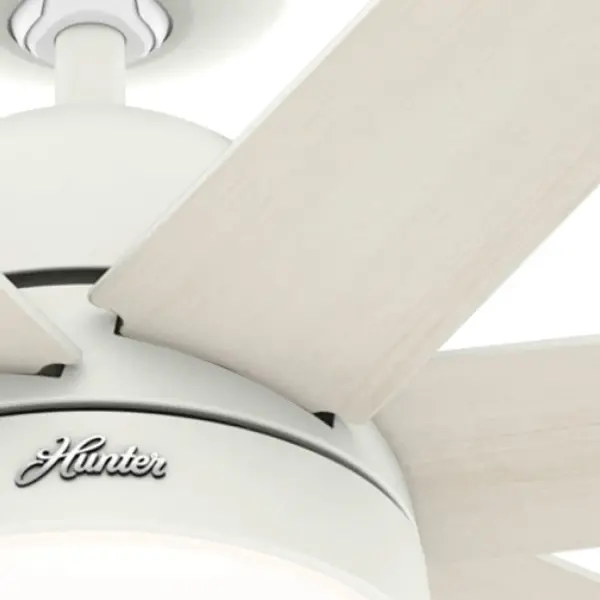 The Ceiling Fans by Hunter - Image 21