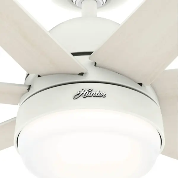 The Ceiling Fans by Hunter - Image 23