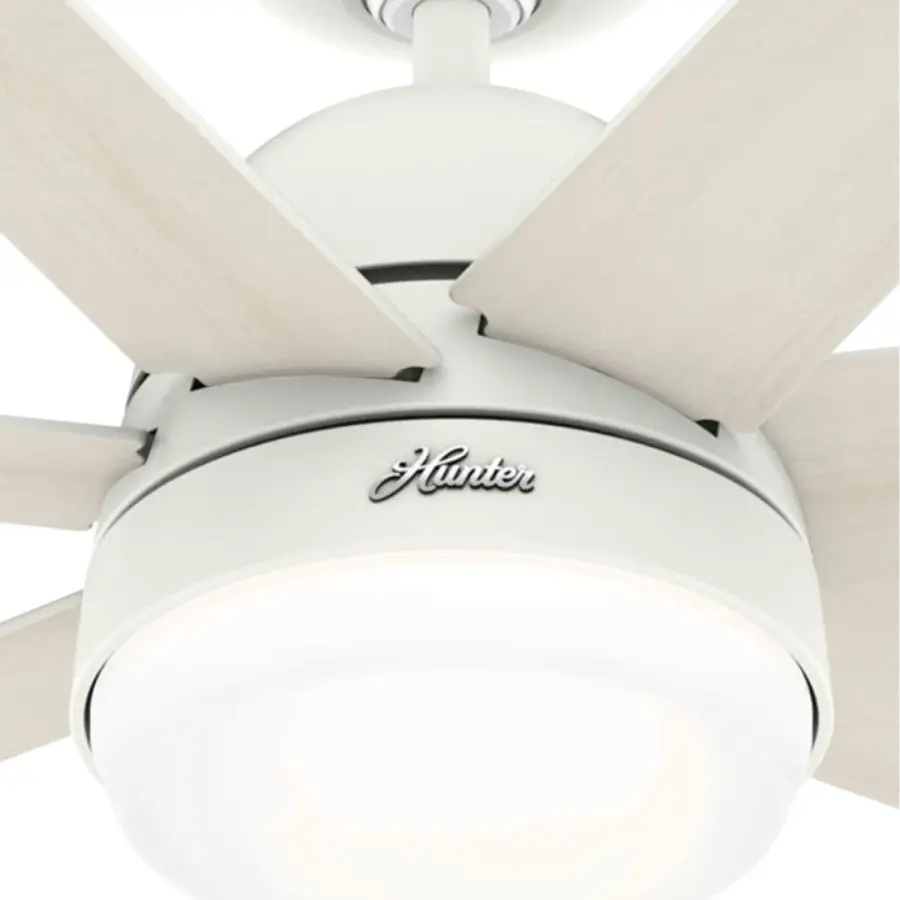 The Ceiling Fans by Hunter - Image 23