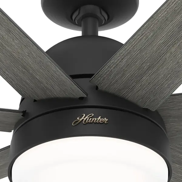 The Ceiling Fans by Hunter - Image 24