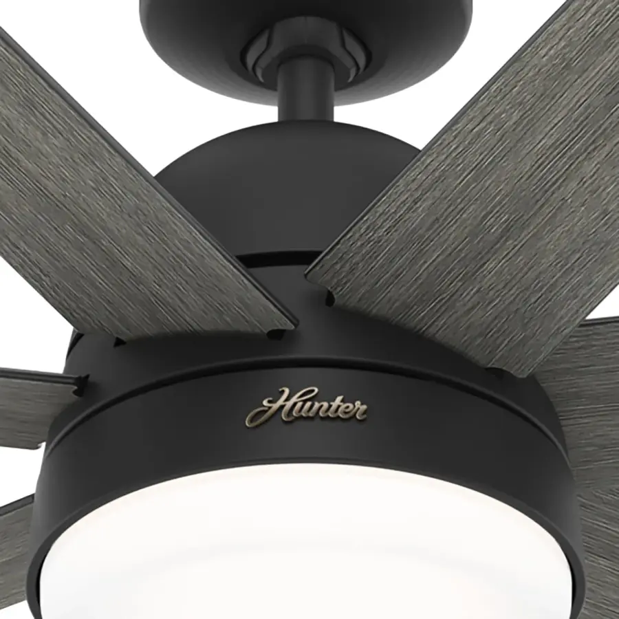 The Ceiling Fans by Hunter - Image 24