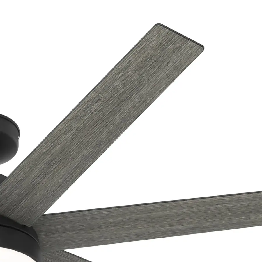 The Ceiling Fans by Hunter - Image 28