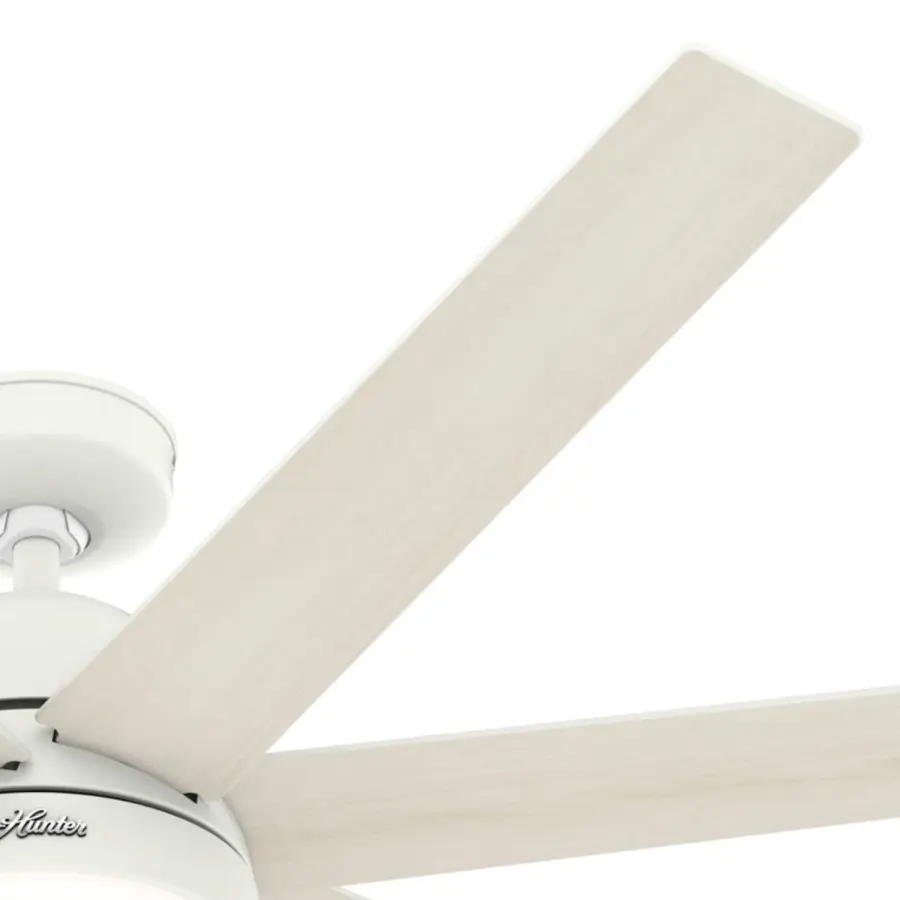 The Ceiling Fans by Hunter - Image 29