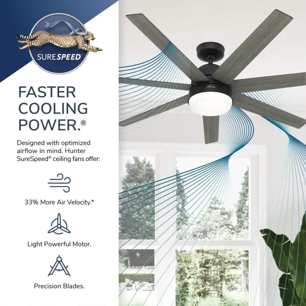 The Ceiling Fans by Hunter - Image 37