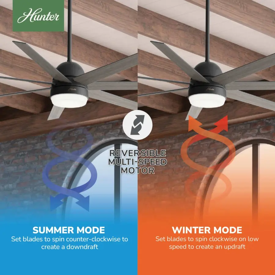 The Ceiling Fans by Hunter - Image 12