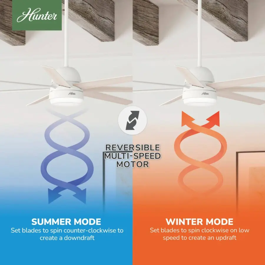 The Ceiling Fans by Hunter - Image 13