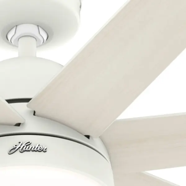 The Ceiling Fans by Hunter - Image 21