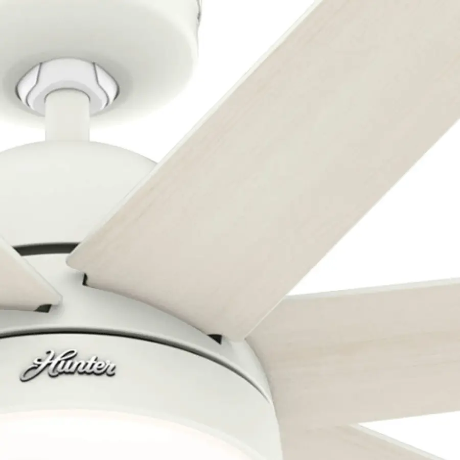 The Ceiling Fans by Hunter - Image 21
