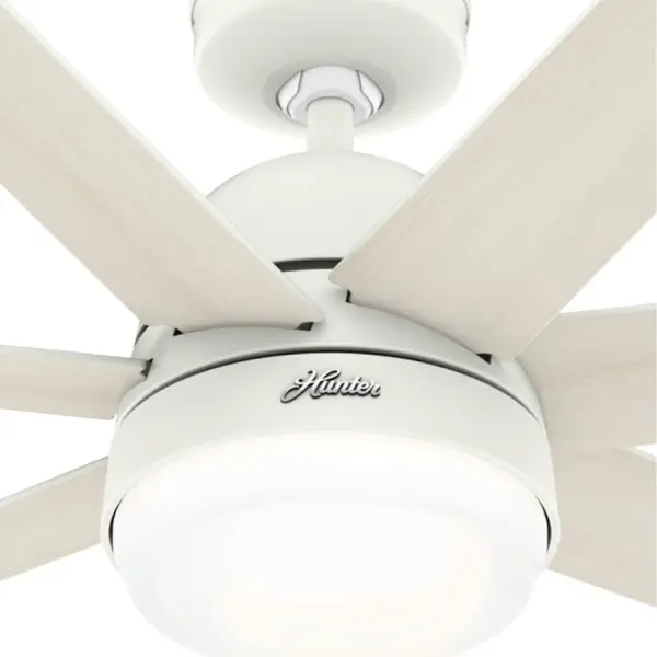 The Ceiling Fans by Hunter - Image 23