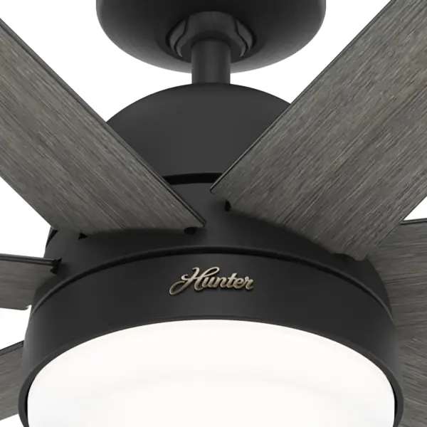 The Ceiling Fans by Hunter - Image 24
