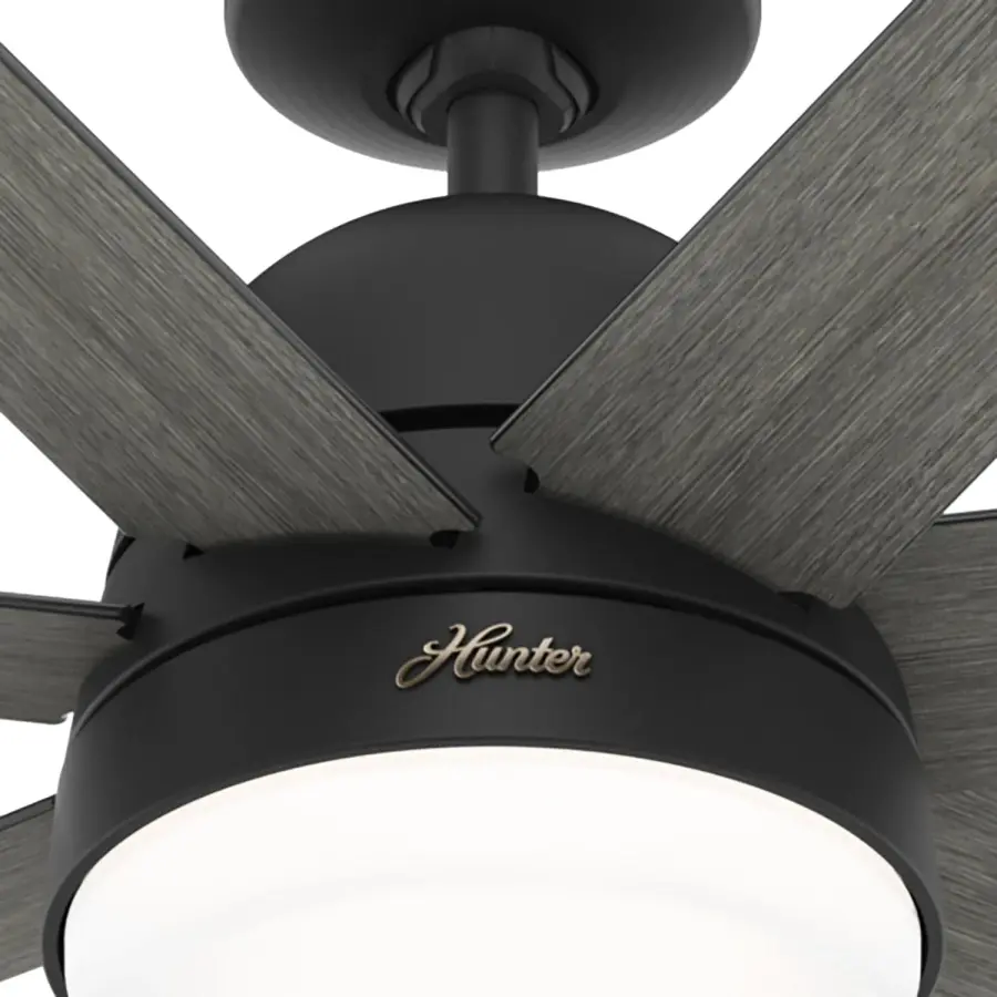 The Ceiling Fans by Hunter - Image 24