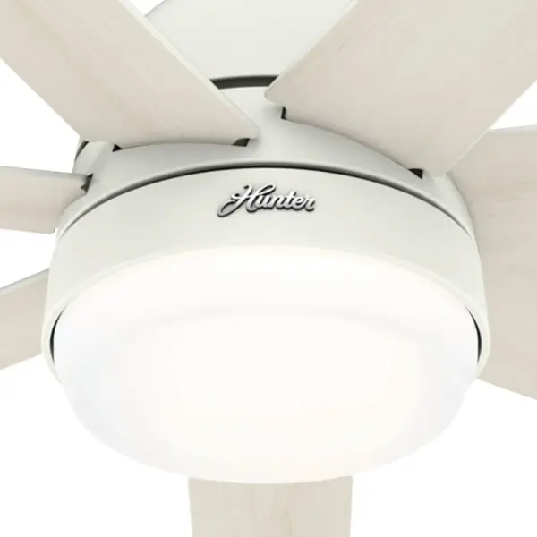 The Ceiling Fans by Hunter - Image 25