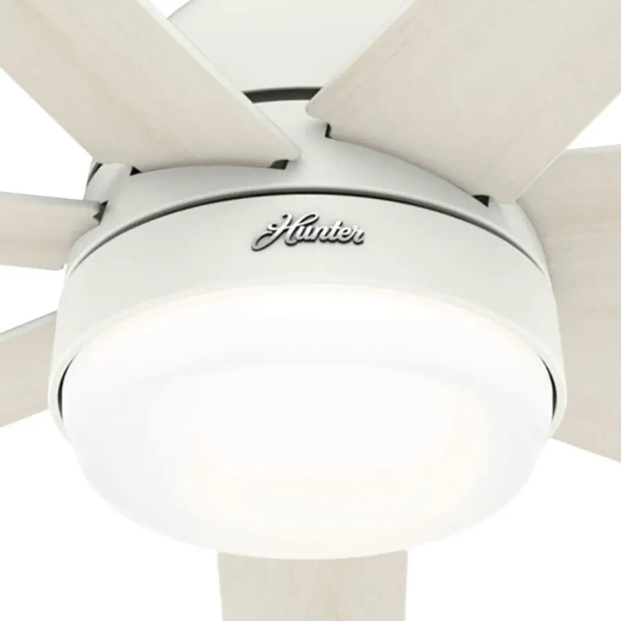 The Ceiling Fans by Hunter - Image 25