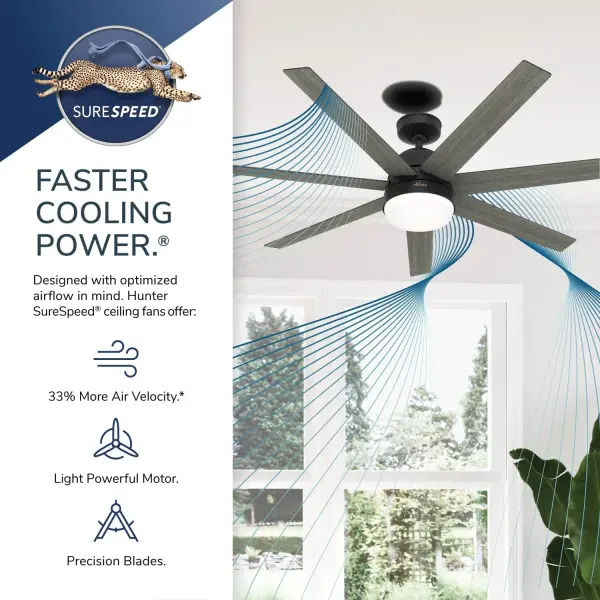 The Ceiling Fans by Hunter - Image 35