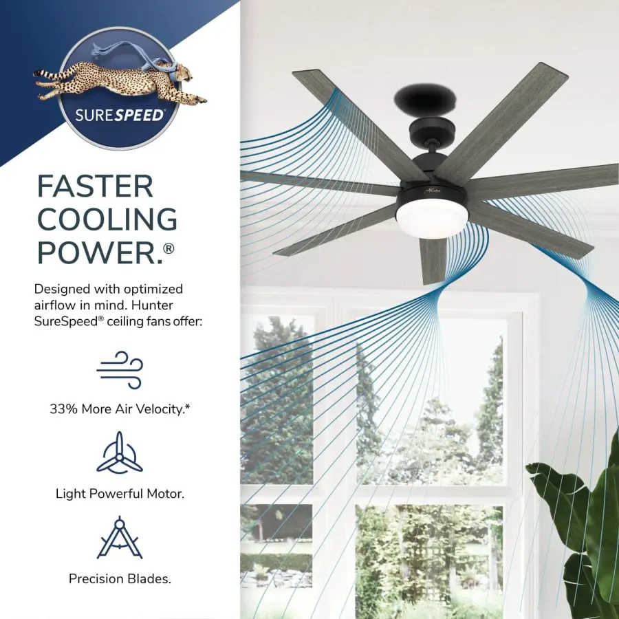 The Ceiling Fans by Hunter - Image 35