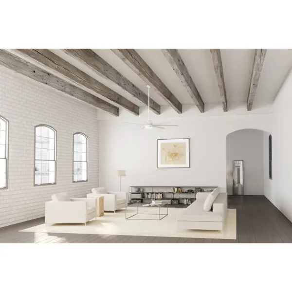 The Ceiling Fans by Hunter - Image 6