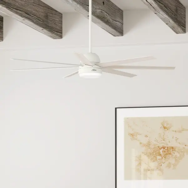 The Ceiling Fans by Hunter - Image 8