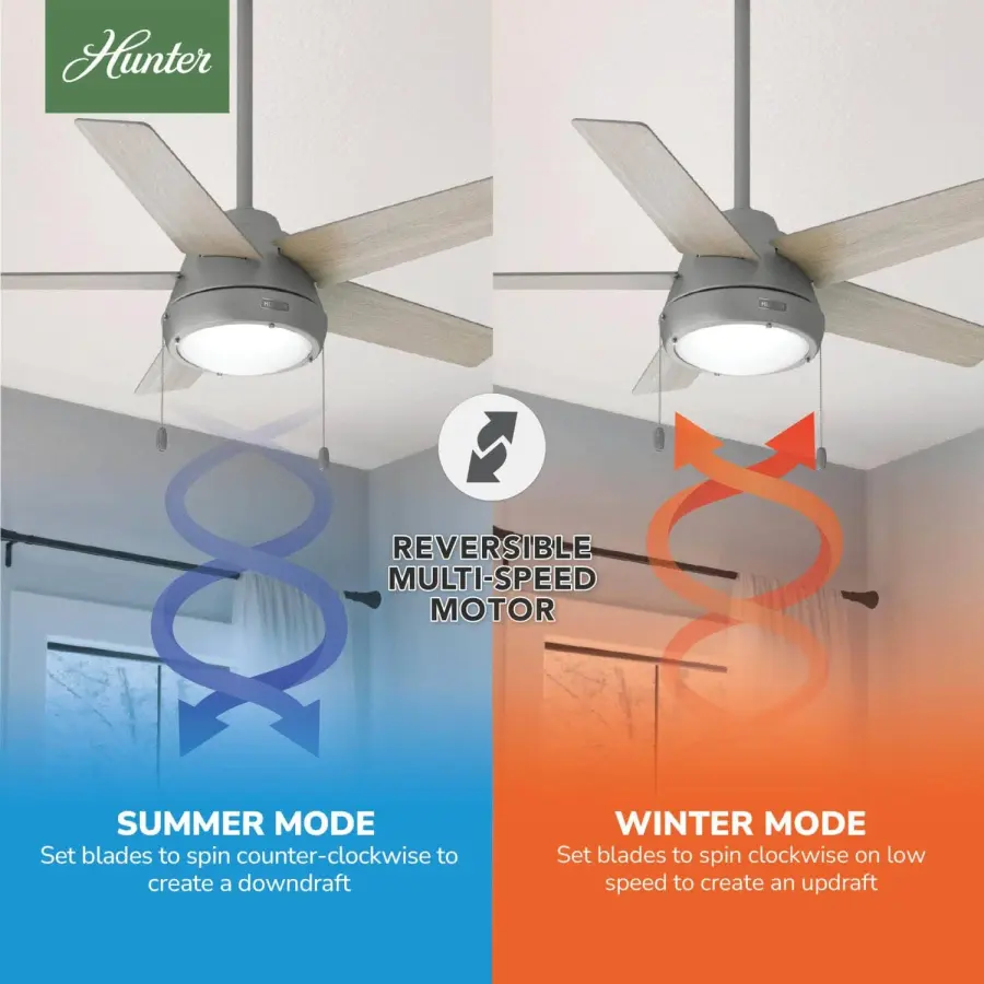 The Ceiling Fans by Hunter - Image 13