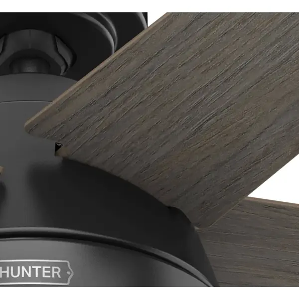 The Ceiling Fans by Hunter - Image 20