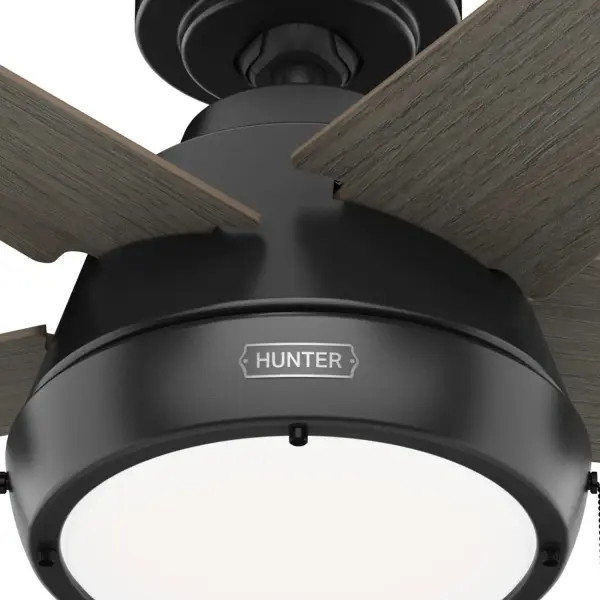 The Ceiling Fans by Hunter - Image 22