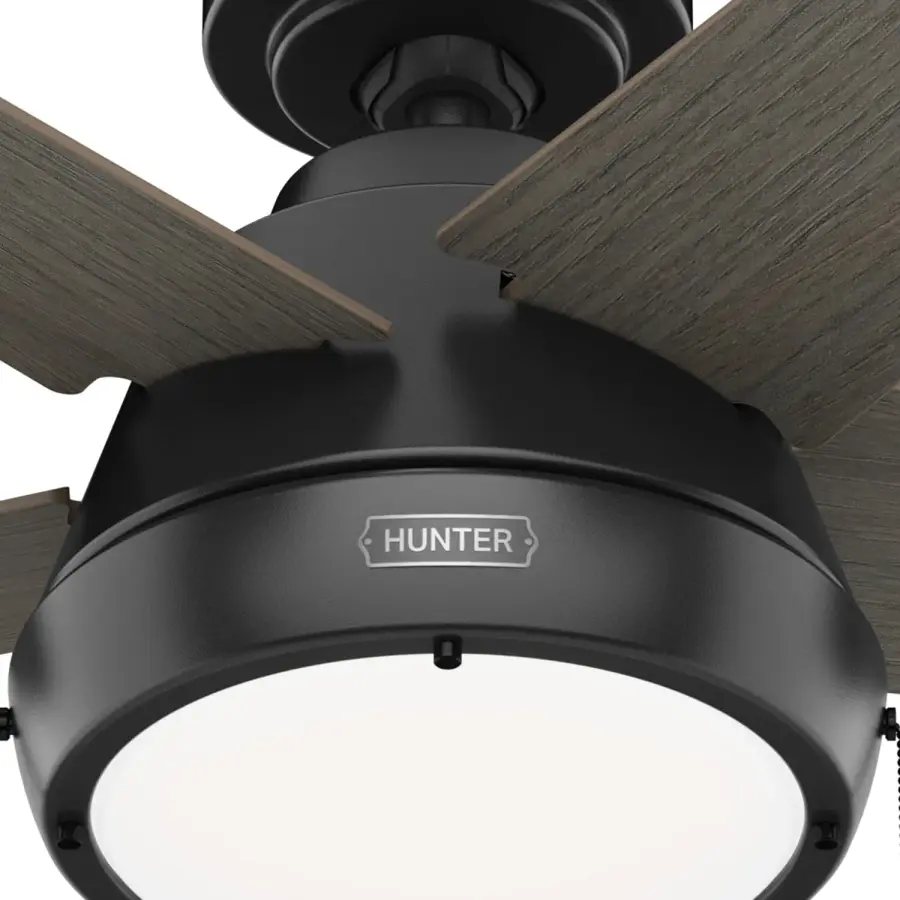 The Ceiling Fans by Hunter - Image 22