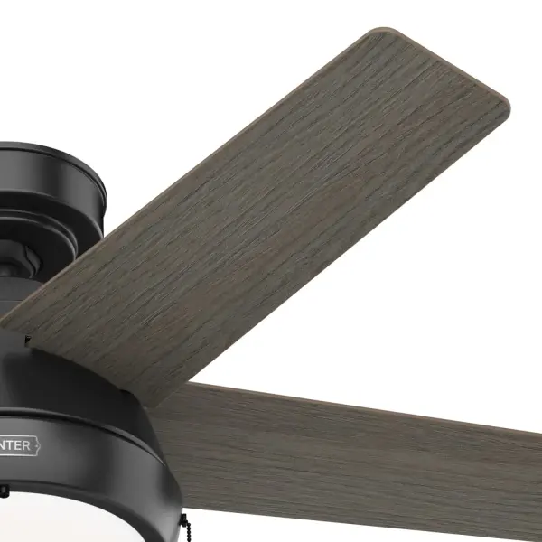 The Ceiling Fans by Hunter - Image 26