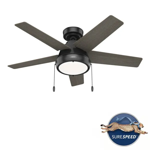 The Ceiling Fans by Hunter - Image 28