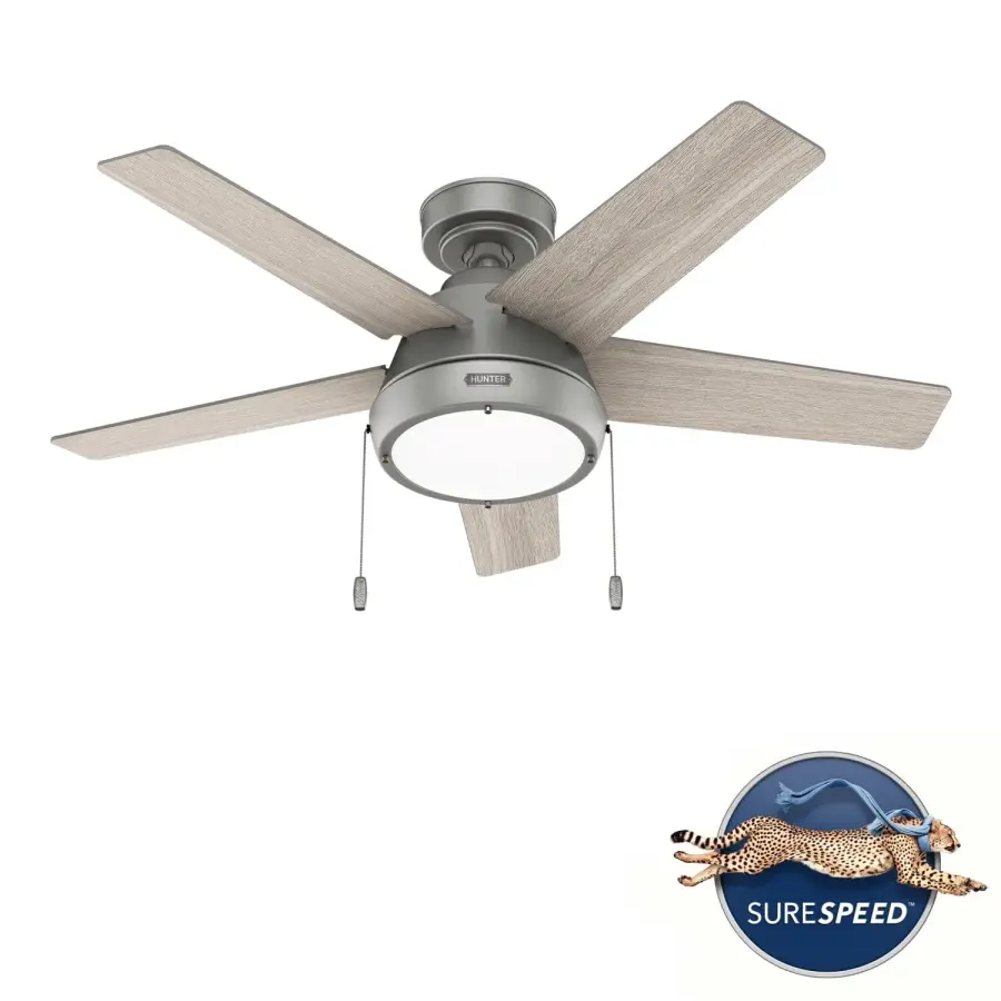 The Ceiling Fans by Hunter - Image 29