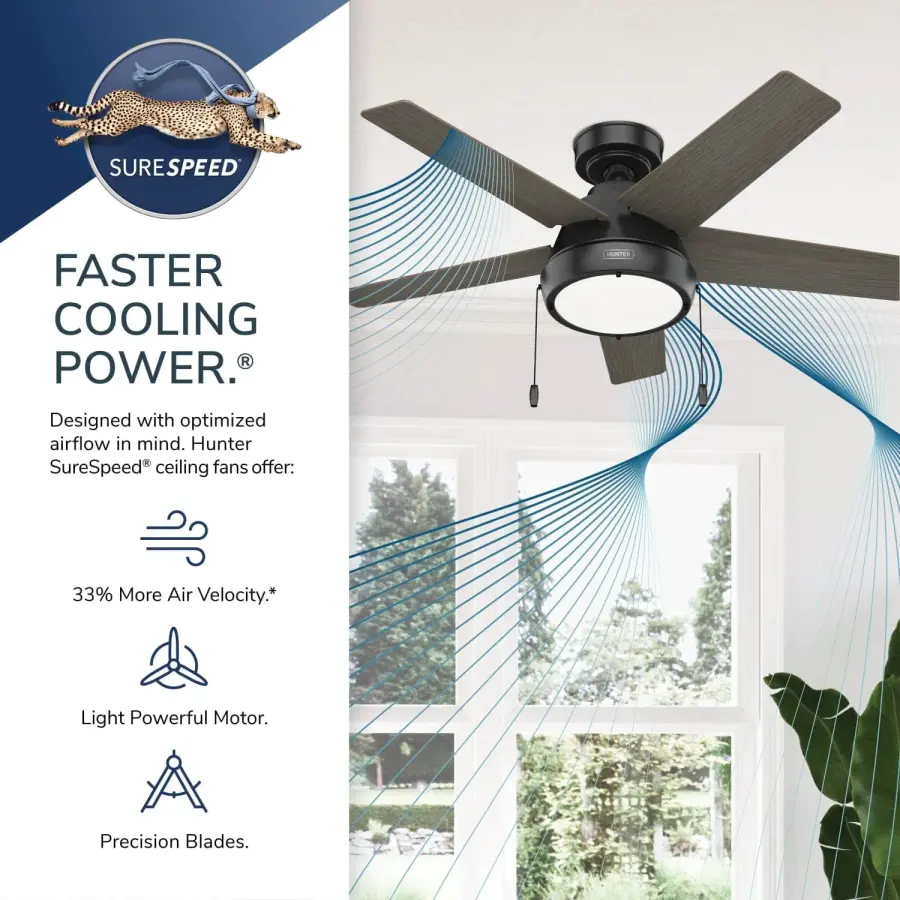 The Ceiling Fans by Hunter - Image 30