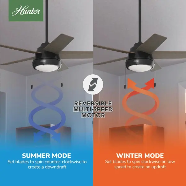 The Ceiling Fans by Hunter - Image 12