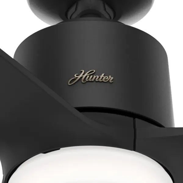 The Ceiling Fans by Hunter - Image 12