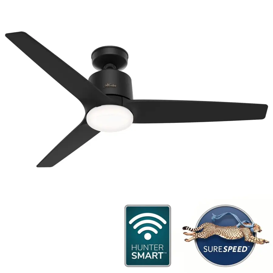 The Ceiling Fans by Hunter - Image 15