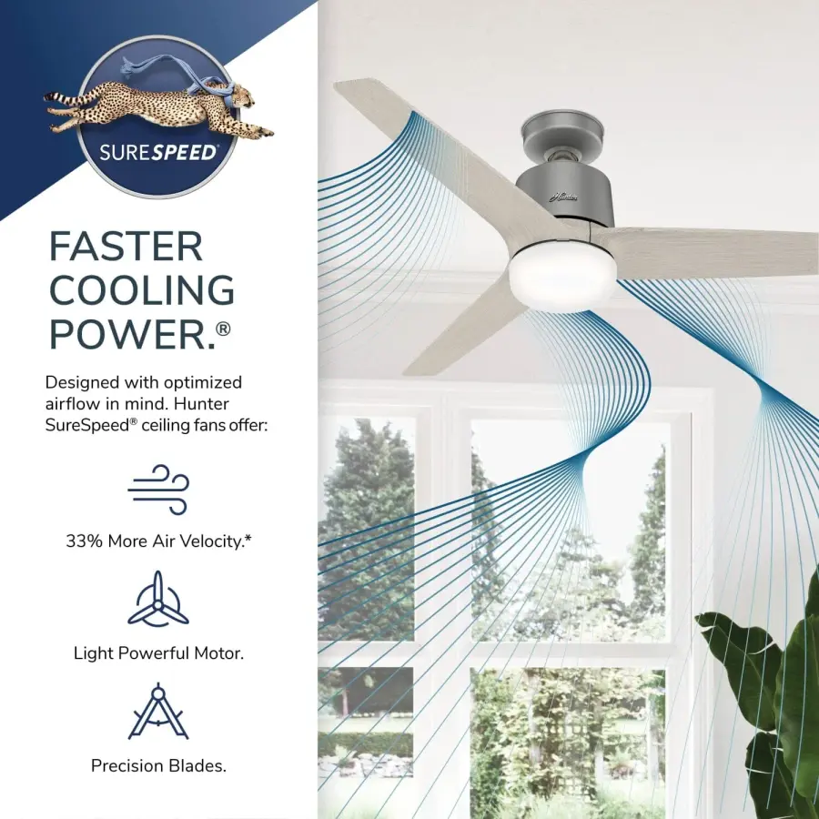 The Ceiling Fans by Hunter - Image 17