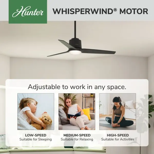 The Ceiling Fans by Hunter - Image 18