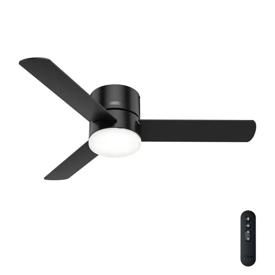 The Ceiling Fans by Hunter - Image 2