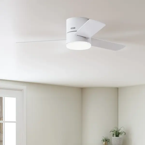 The Ceiling Fans by Hunter - Image 12