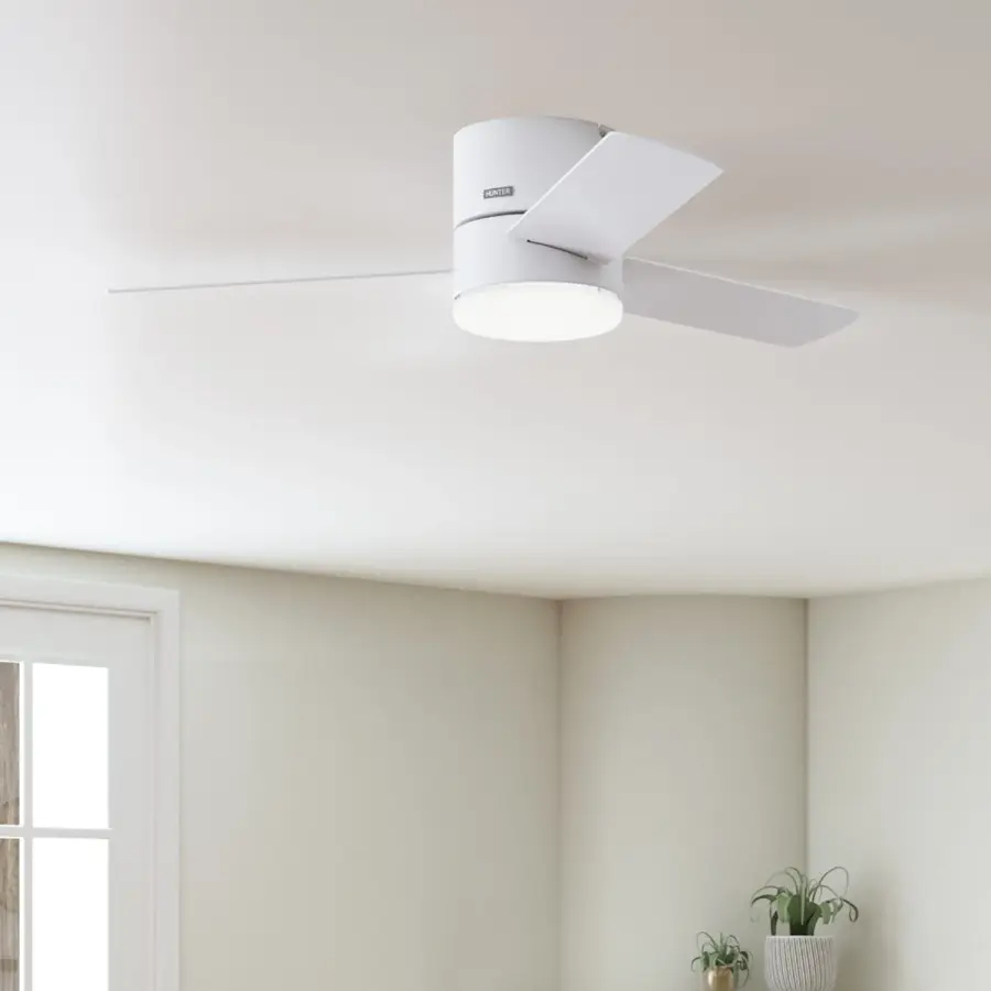 The Ceiling Fans by Hunter - Image 12
