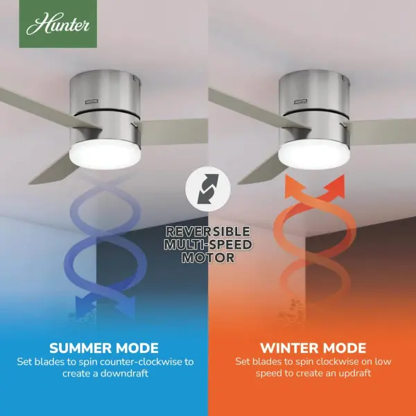 The Ceiling Fans by Hunter - Image 17