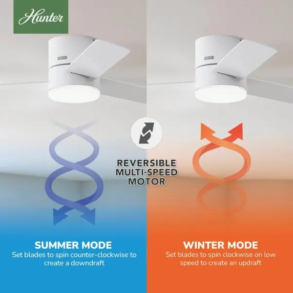 The Ceiling Fans by Hunter - Image 19