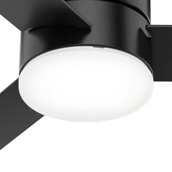 The Ceiling Fans by Hunter - Image 30