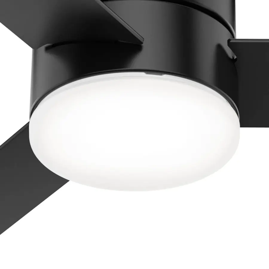 The Ceiling Fans by Hunter - Image 30