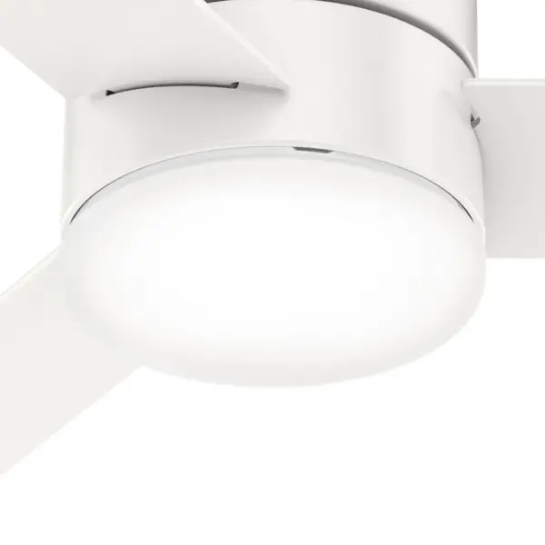 The Ceiling Fans by Hunter - Image 31