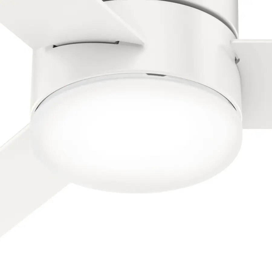The Ceiling Fans by Hunter - Image 31