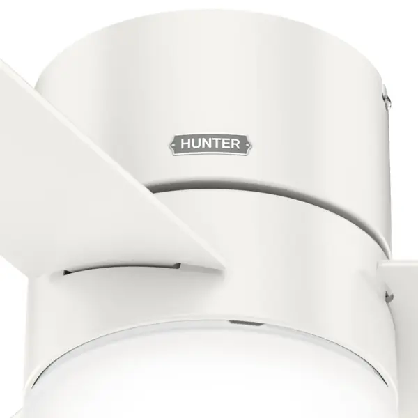 The Ceiling Fans by Hunter - Image 37