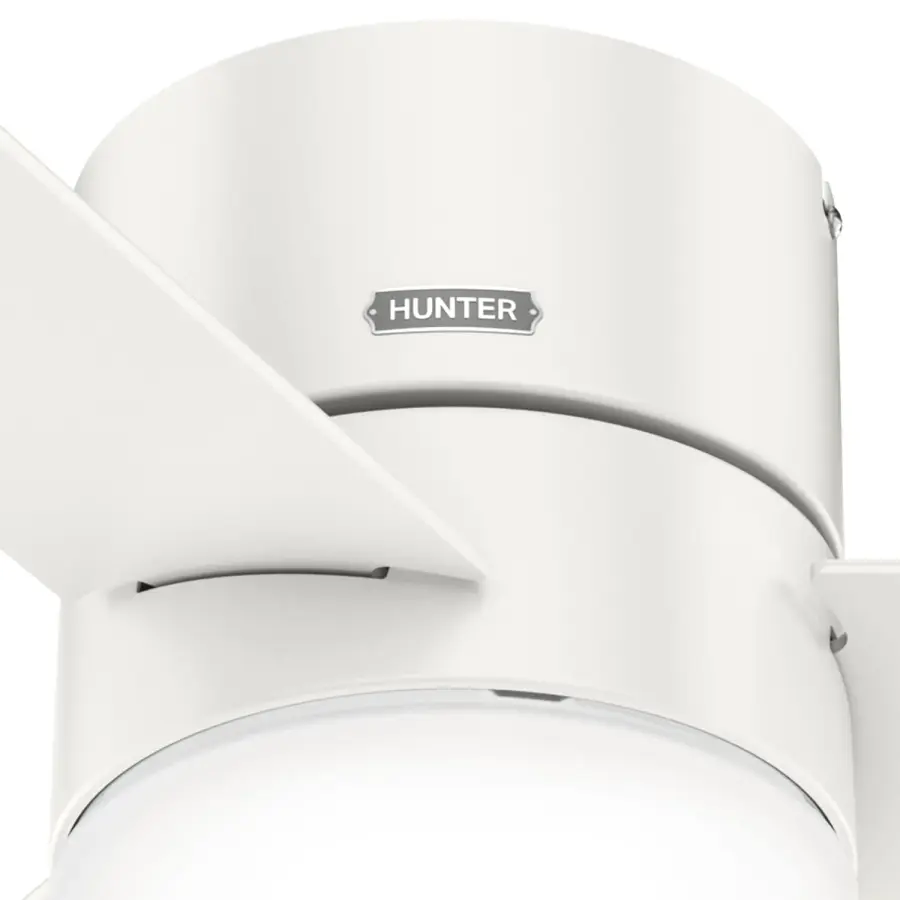 The Ceiling Fans by Hunter - Image 37